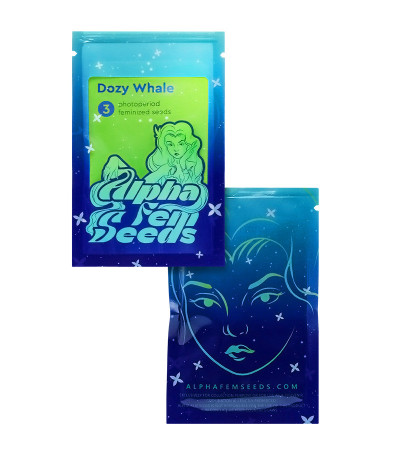 Dozy Whale fem (AlphaFem Seeds) семена конопли — изображение 2